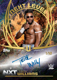 2025 Topps Universe WWE Wrestling cards - Blaster Box