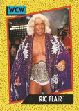 1991 Impel WCW Wrestling Cards - Retail Pack