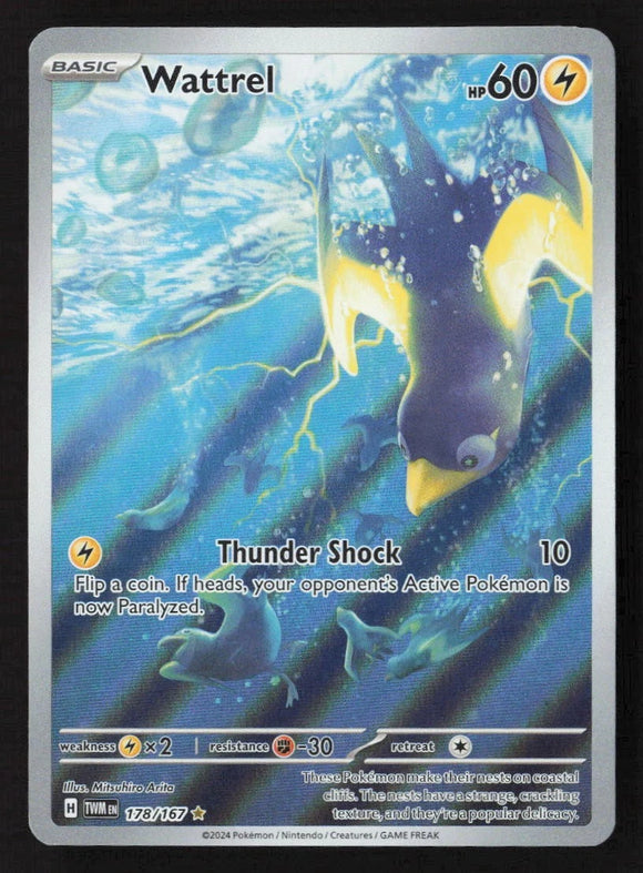 Wattrel - Pokemon Twilight Masquerade FULL ART Holo Foil Illustration Rare #178/167
