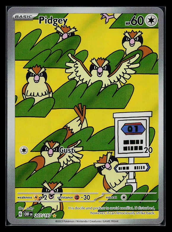 Pidgey - Pokemon Obsidian Flames FULL ART Illustration Rare #207/197