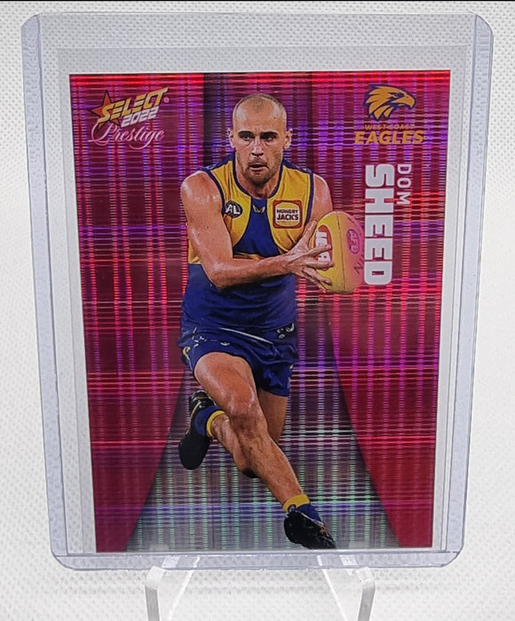 Dom Sheed - 2022 Select Prestige Pink Parallel