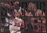 1994-95 Fleer Flair Series 1 NBA Basketball - Hobby Box