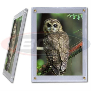 BCW 5"x7" Screwdown Holder